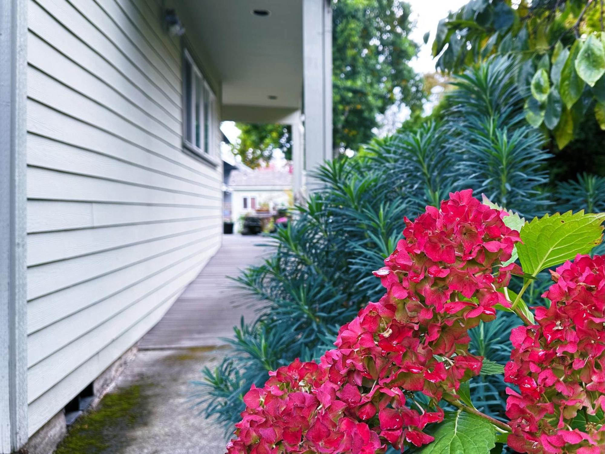 The Secret Garden Apartment Portland Ngoại thất bức ảnh
